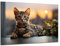Munera Design - Bild 30x40 - Katzen-Bilder Kitten am Fenster - Wand-Bilder Wohnzimmer