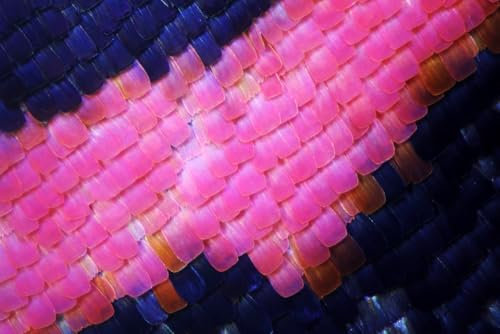 Glowybox Drip Candles Set of 3 - Colourful Container Candles with Unique Drip Effect - Perfect for Bottles and Candle Holders - Made in Germany