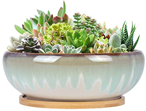 SQOWL 7 Inch Ceramic Succulent Planter Pot with Drainage Hole Drip Glazed Binsai Pot with Bamboo Tray for Indoor Plants