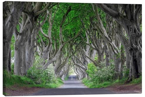 Posterlounge Waldstraße in Irland Leinwandbild von Dieter Meyrl 130 x 90 cm Grün Landschaften Wanddeko