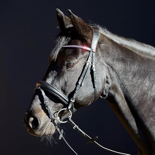 Kieffer Trensenzaum, Trense K_PRIYA engl. Reithalfter Größe Warmblut, Farbe fuchsiabarbenen Kristallen