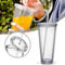 EUNEWR Plastic Cup Travel Cup with Straw, Double Walled Plastic Sealed Cup Transparent Drinking Cup for Fruit Juice Smoothie Juice Coffee (650ml)