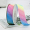 GAKA FAVOR Satinband Macaron Regenbogen Dekoration Geschenkband breit Schleifenband Bänder, Stoffband für Hochzeit, Taufe und Geburtstag Geschenke