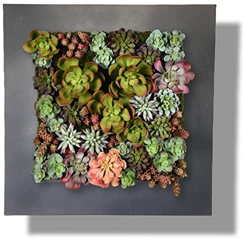 Vandue Modern Home Living Pot de Fleurs succulentes Mural en Acier galvanisé/Zinc (Zinc Noir, 16 Poches)