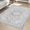 Teppich-Traum Verzierter Gemütlicher Großer Wohnzimmer Teppich Läufer Gang Flur rutschfest Langlebig Pflegeleicht orientalischer Stil grau, 300 x 400 cm