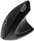 Dacomex Souris sans Fil Verticale V150W USB (Noir)