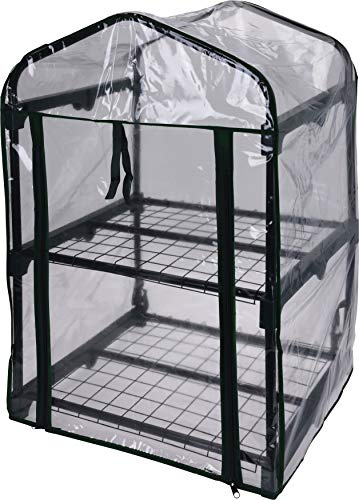 Trendkontor Gewächshaus Frühbeet Garten 50x45x80cm