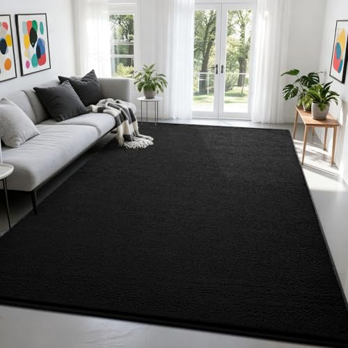 Nuttumico Large Modern Area Rugs for Bedroom Living Room, 4x6 Feet Black Rug, Thickened Memory-Foam Indoor Carpets, Minimalist Rug for Boys Girls, Soft, Non-Slip and Machine-Washable