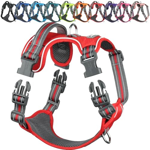 VIVAGLORY Anti Zieh Geschirr für Hunde Hundegeschirr, L, Rot, A | Antizuggeschirr mit Gepolstert Griff & Brustring, Anti Zieh Mitwachsend Ausbruchsicher & Reflektierend für Welpe Hund