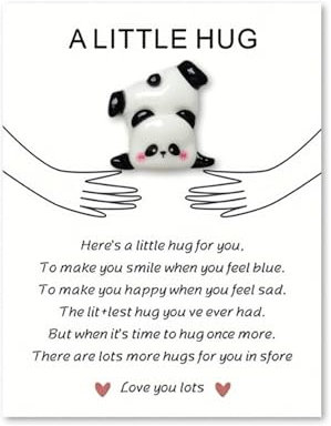 Panda Glücksbringer Positive Geschenke für Frauen und Familie Geschenke Trost und Aufmunterung Hug