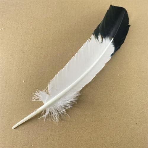 lotEagle Federn für Dekoration Handwerk Truthahn Fasan Vogel Eule Feder Dekor Federn Zubehör Karneval