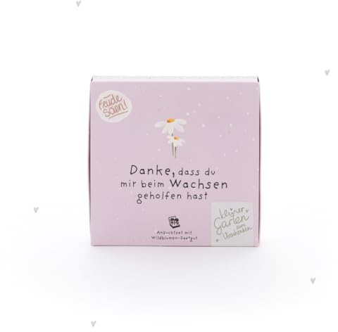 Pflanzkästchen Danke, DASS du Mir beim Wachsen geholfen hast | Anzuchtset für Margeriten für die Fensterbank | Nachhaltiges Geschenk für Kindergärtnerin, Mama, Tagesmutter, Erzieher, Mentor, Trainer