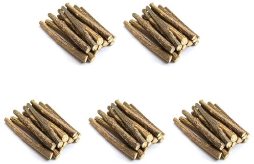 ISTOVO 100Pcs Natural Silvervine Sticks for Matatabi Chew Sticks Teeth Molar Chew Toys for Cat Teeth Cleaning