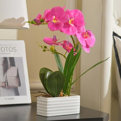 Artificial Real Touch Orchid Flowers with White Ceramic Vase, Purple Red | Fake Phalaenopsis Arrangement, for Home Table Office Wedding Party Decoration