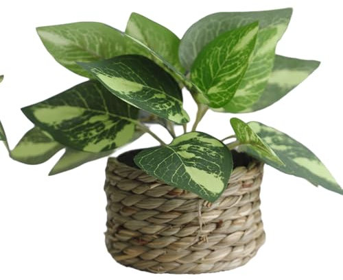 Whakano Mini Kunstpflanze im Topf,Dekopflanze Zimmerpflanzen Künstliche Pflanzen Grün,Kunststoff Gefälschte Pflanzen,Tischdeko Kunstpflanze für Schreibtisch,Haus,Balkon und Badezimmer Dekor,D