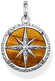Thomas Sabo Herren Ketten Anhänger Kompass, mit Edelstein-Inlay aus braunem Tigerauge, 925er Sterlingsilber geschwärzt, Maße: 34 x 24 mm, PE833-826-2
