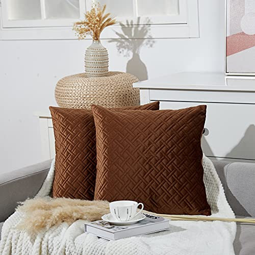 Juliyeh 2er Set Samt Kissenbezug Sofakissen Kariert Zierkissenbezug Kissenhülle Weich 45x45 cm Braun Dekokissen Dekorative Kissenbezug Samtkissen Einfarbig Zierkissen für Sofa Wohnzimmer
