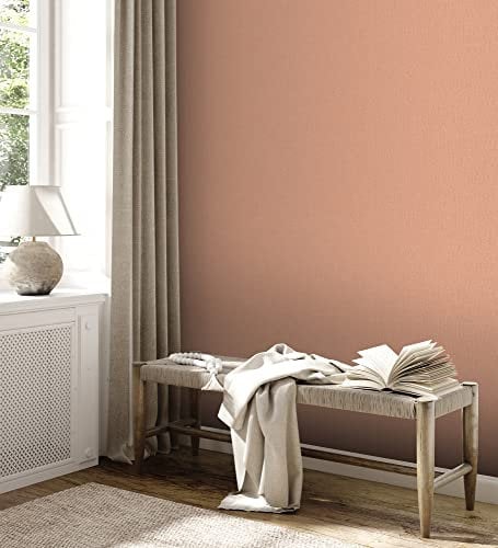 A.S. Création Unitapete Orange Terra 390396 - Vliestapete Einfarbig - 10,05 m x 0,53 m Made in Germany