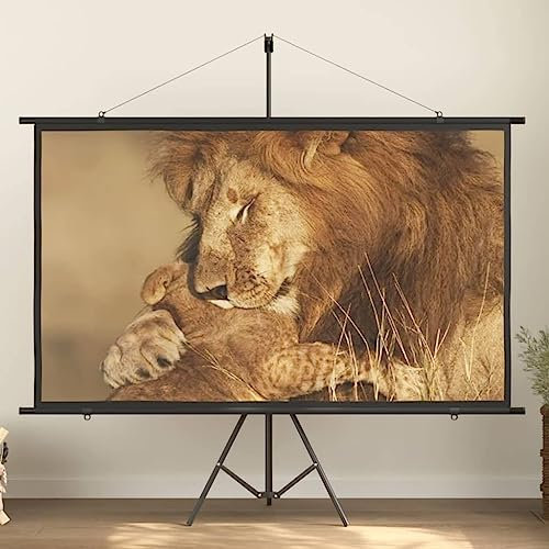 Electronics-Projection Screen 90 16:9-Others