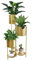 TRIROCKS Metall-Pflanzenständer 6 Etagen 6 Töpfe Indoor Blumentopf Stand Halter Regal Outdoor Faltbar Dekoratives Lagerregal Für Topfpflanzen Terrasse Garten Wohnzimmer Ecke (Gold)