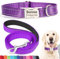 SEOUGEE Hundehalsband und Leine, Set mit gravierter Metallschnalle, reflektierenden Nylon-Hundehalsbändern und Leine für große Hunde mit individuellem Namensschild, Telefonnummer (dunkelviolettes Set,