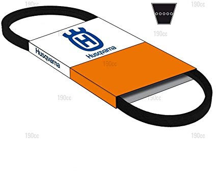 Bernard Loisirs 584897001 Courroie de Plateau de Coupe