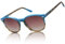 DUCO Retro Polarisierte Damen Sonnenbrille Vintage UV400 Schutz Sonnenbrillen Leichtgewicht Acetat Rahmen 1230 (Hellblau)