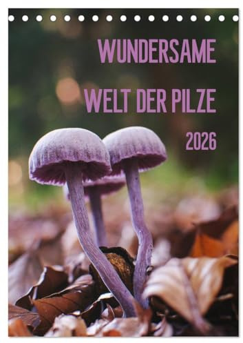 Wundersame Welt der Pilze (Tischkalender 2026 DIN A5 hoch), CALVENDO Monatskalender: Ein Kalender für Pilzfreunde (CALVENDO Orte)