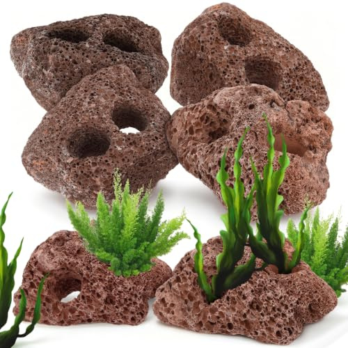 Happyyami Lot De 6 Roches Volcaniques pour Aquarium Pierre De Lave pour Fixer Les Plantes Aquatiques Décoration Naturelle pour Aquarium Eau Douce Cachette pour Petits Poissons Et Crevettes