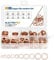 ELECTRAPICK 10 Sizes 280pcs-O Ring Washers Set, Flat Ring Seal Copper Gasket Kit Hardware with Plastic Box, M5-M12 Metal Washers Round Spacers Assortment for Home