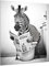 DARO Design - Bilder Deko Gäste WC Wandbild Badezimmer Bad Toilette Kunstdruck Bild auf 6mm HDF 50x70 cm Zebra Wanddeko - lustige Wandbilder Leinwand Poster Aesthetic Room Decor