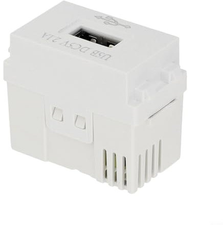 CWOQOCW USB-Lademodul, 2,1 A, 220 V Buchse, 5 V, Transformator, Handy-Ladepanel, Steckdose, Stromwandler (1 Stück)