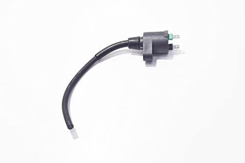 Zündspule Piaggio für Aprilia/Derbi/Gilera/Piaggio/Vespa, 82597R