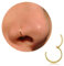 Nasenring Gold dünn Nasenpiercing Ring Titan für Damen Herren 20G Septum Tragus Conch Piercing Knorpel Ohrringe Lippenpiercing Nasen Piercing Ringe Schmuck 6mm/7mm/8mm/9mm/10mm (Gold 20g, 6mm)