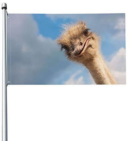 Flagge, Lustiger Strauß Flagge lustige Flaggen 5 Ft x 3 Ft mit Ösen, Festival Party UV-beständig Polyester Fahnen für Terrasse Garten