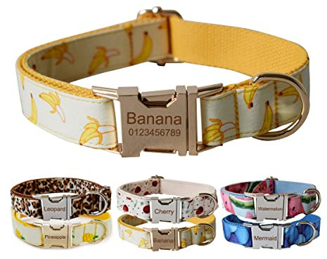 Personalisiertes Hundehalsband mit Metallschnalle, individuelle Haustiermarken mit Namen, Telefonnummer, Adresse, graviert, Obstdruck