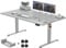 Devoko Höhenverstellbarer Schreibtisch 160x80cm mit Typ-C Ladeanschluss, Schreibtisch Höhenverstellbar Elektrisch, Mobiler Elektrisch Computertisch mit Kabel Management Tray, Grau