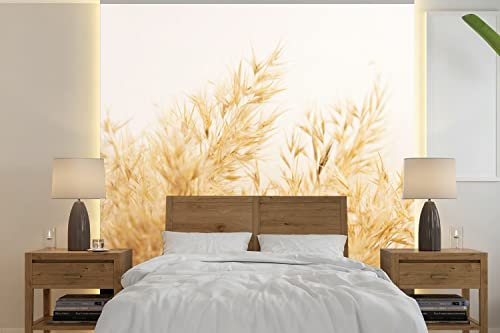 Selbstklebend Tapete Wandpapier Wandaufkleber Fototapete Tapeten Wanddeko 350x350 cm Pampasgras - Sonne - Gras