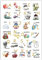 ABC Poster für Kinder - Alphabet für Kinderzimmer - DIN A2 Lernposter Buchstaben - Plakat ohne Bilder-Rahmen - Kindergarten Deko - Lernposter Kinder ab 3 Jahren - deutsch