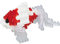 Nanoblock - NB-C223 Waking Goldfish Red Micro Konstruktion