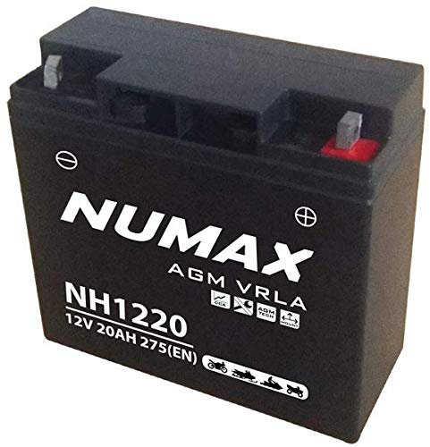 Numax - Batterie moto Numax Premium AGM NH1220 12V 20Ah 275A Petite
