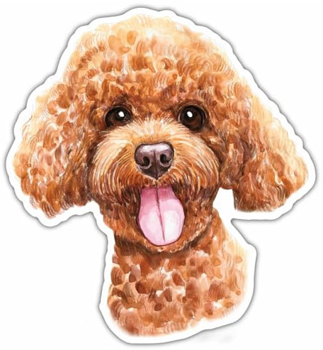 Samunshi® Brauner Pudel Aufkleber Autoaufkleber für Motorrad Fahrrad Roller oder Auto Sticker Fahrrad Mtb Mountainbike Rennrad Hund Dog Dogo 10cm Brauner Pudel