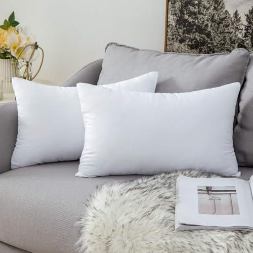 MIULEE Kissen 40x60 cm Füllung 2er Set, Waschbare Kissenfüllung Sofakissen, Polster Innenkissen Dekokissen, Polyester Füllkissen als Couchkissen, Sofa Kissen, Zierkissen, Kisseninlet 40 x 60