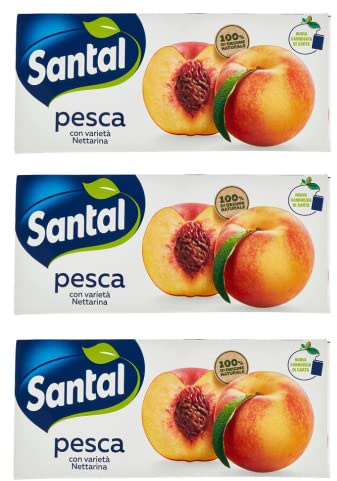 Parmalat Santàl Pesca Lot de 3 jus de pêche Jus de fruits Boisson rafraîchissante Brik 3 x 200 ml
