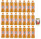 San Benedetto Thè Pesca 24x 500ml, Eistee The' Pfirsich PET Einweg, ice tea erfrischend, Ohne Konservierungsstoffe und künstliche Farbstoffe + Italian Gourmet polpa 400g