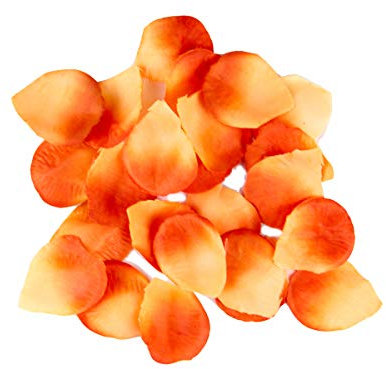 LP Divertissements Lot avec 100 pétales de Roses Orange & Orange Clair