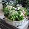 DARO DEKO Holz Pflanzring rund Natur Ø 39cm x 10cm mit Einsatz Weiden Pflanz-Schale Ring Blumentopf geflochten Blumenkorb