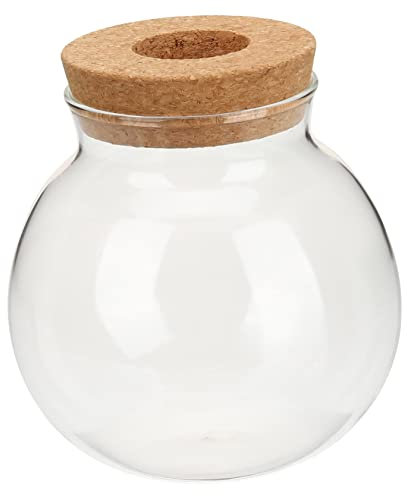 VILLFUL Hydroponische Glasflasche Vermehrungsvase Ausbreitungsstationen Terrarium-kit Monstera-Pflanze Glasvase Desktop Pflanzenterrarium Topfpflanze Holz Wasserbehälter Esstisch