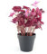 Leaf Design UK Realistic Artificial Foliage Plant with Pot, 30cm Purple Shamrock