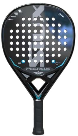 Pala de Pádel Siux Pegasus 1K